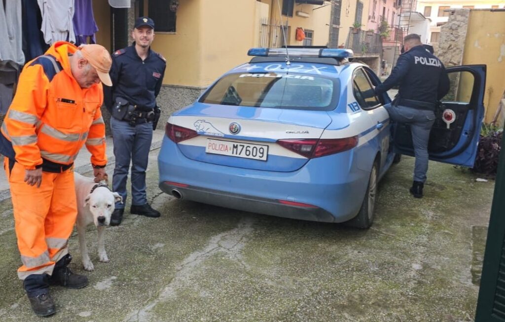 MADDALONI, DENUNCIATO 43ENNE PER MALTRATTAMENTO DI ANIMALI
