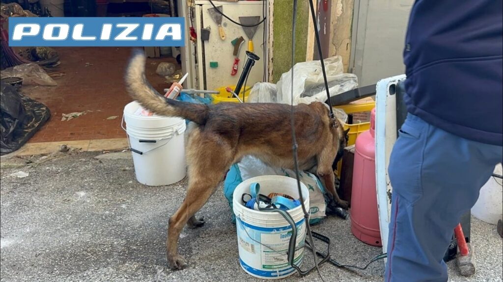 CASERTA, ARRESTATO 17ENNE PER DETENZIONI AI FINI DI SPACCIO