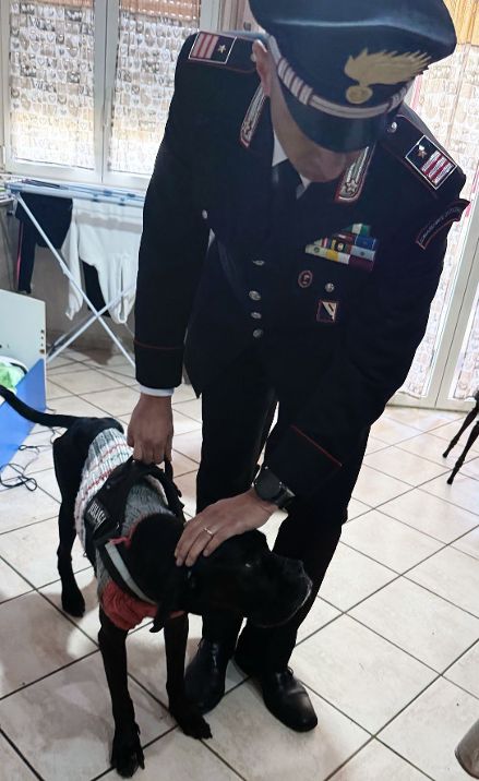 VERGOGNA A SANTA MARIA CAPUA VETERE: CAGNOLINA LASCIATA SENZA ACQUA E SENZA CIBO. SHAILA SALVATA DAI CARABINIERI