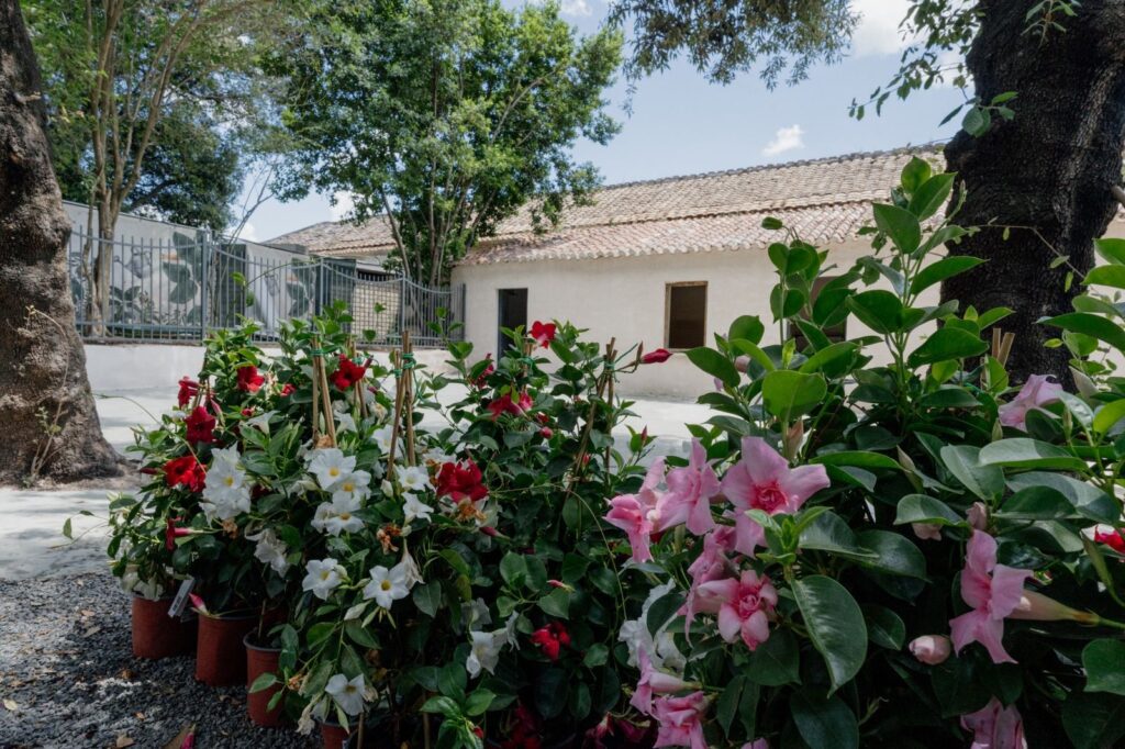CASERTA, NEL PARCO REALE DELLA REGGIA DI CASERTA APRE DAL 1° GIUGNO L’EX CASA DI GUARDIA ERCOLE