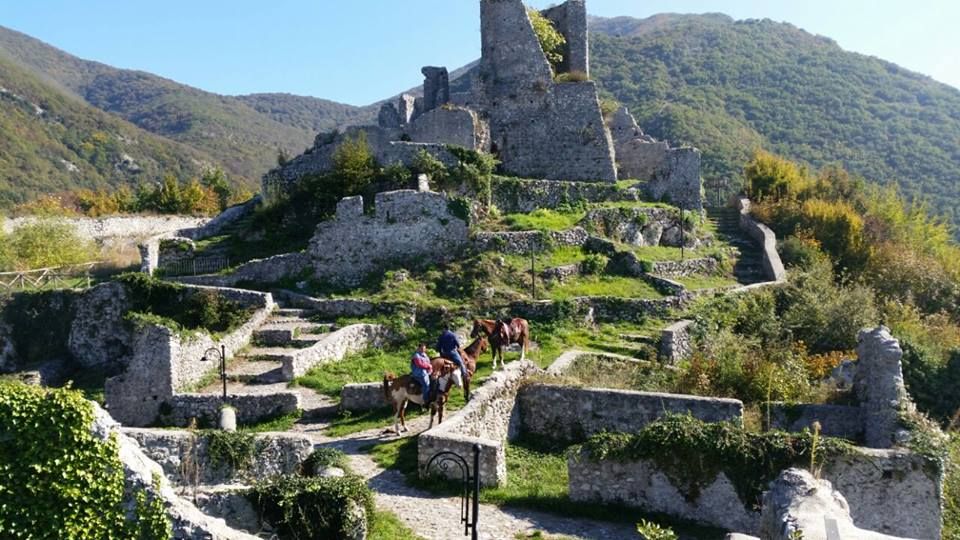 GIOIA SANNITICA, UCCISE UN FRATELLO E NE FERÌ UN ALTRO, DANILO CONDANNATO A 14 ANNI