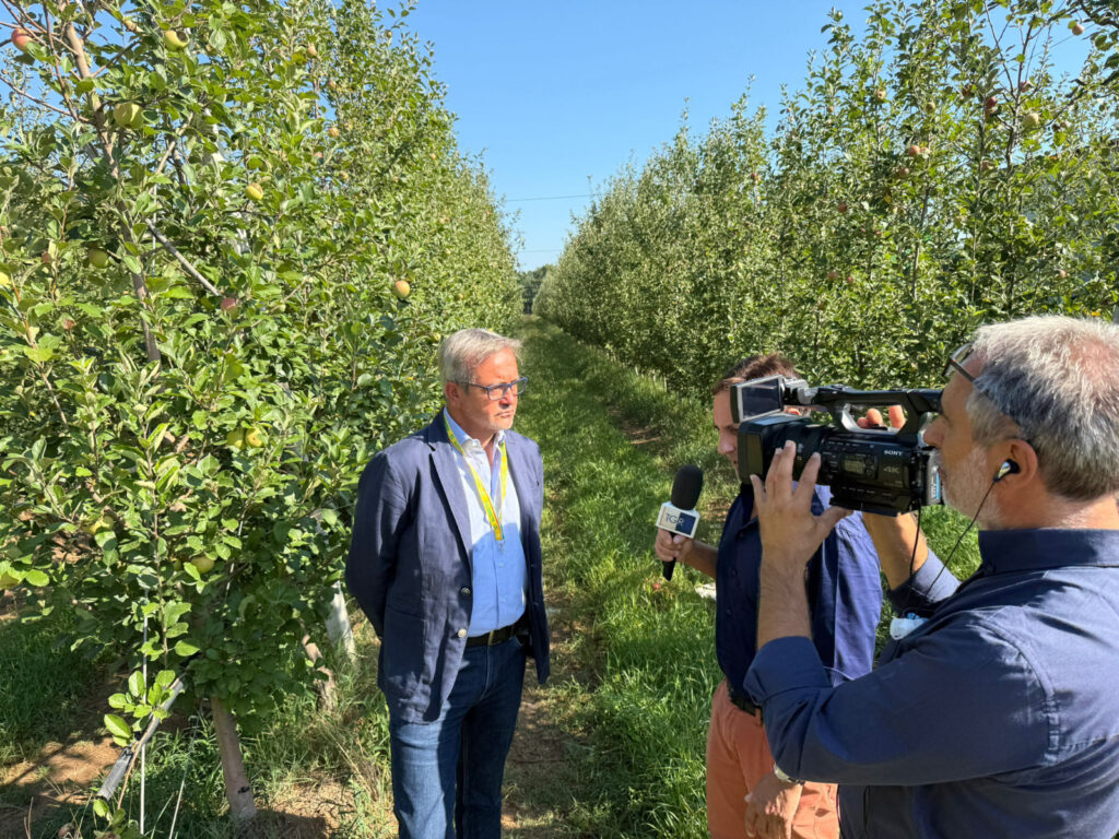 COLDIRETTI CASERTA: ROGO DI TEANO ANCORA ATTIVO, REGIONE VALUTA DANNI AGLI AGRICOLTORI