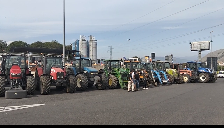 CAIANELLO, AGRICOLTORI E ALLEVATORI: «NON CHIEDIAMO ASSISTENZA, MA CONDIZIONI GIUSTE PER CONTINUARE A PRODURRE»